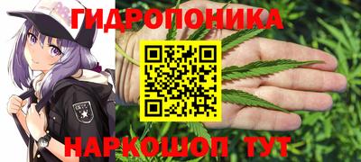 spice Изобильный
