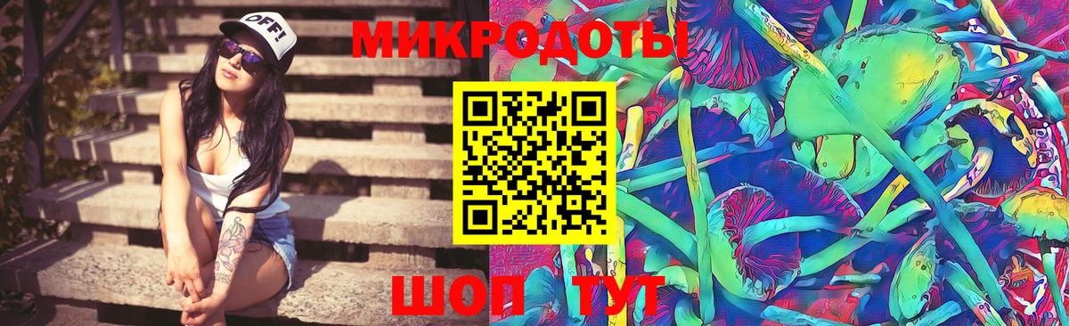 Кировск  Псилоцибиновые грибы Magic Shrooms  Вход с VPN  Псилоцибиновые грибы Psilocybine cubensis 