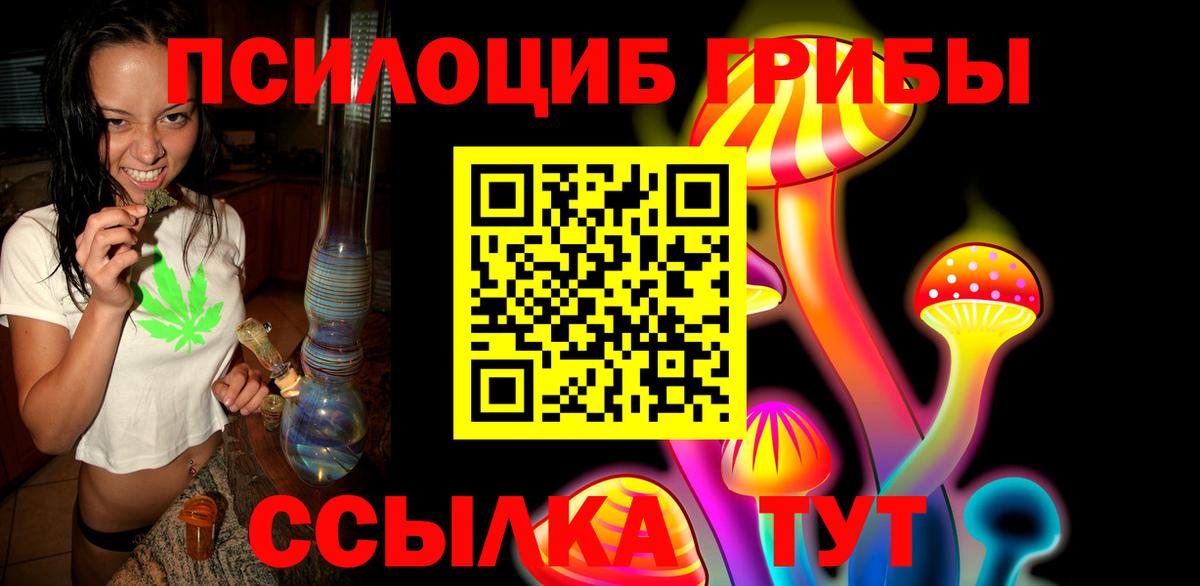 Галлюциногенные грибы Psilocybine cubensis Кировск